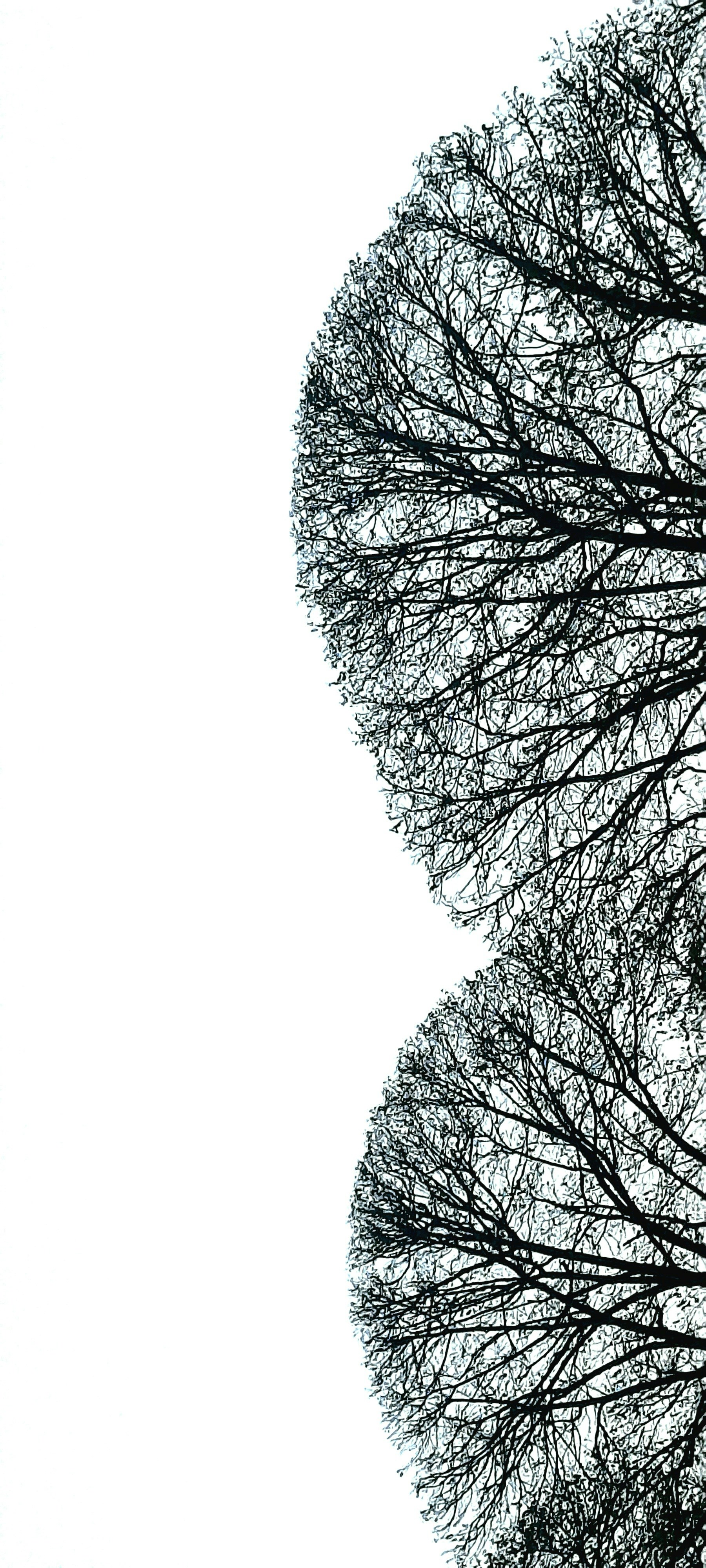 치매자가진단테스트 초기증상과 단순건망증 예방방법