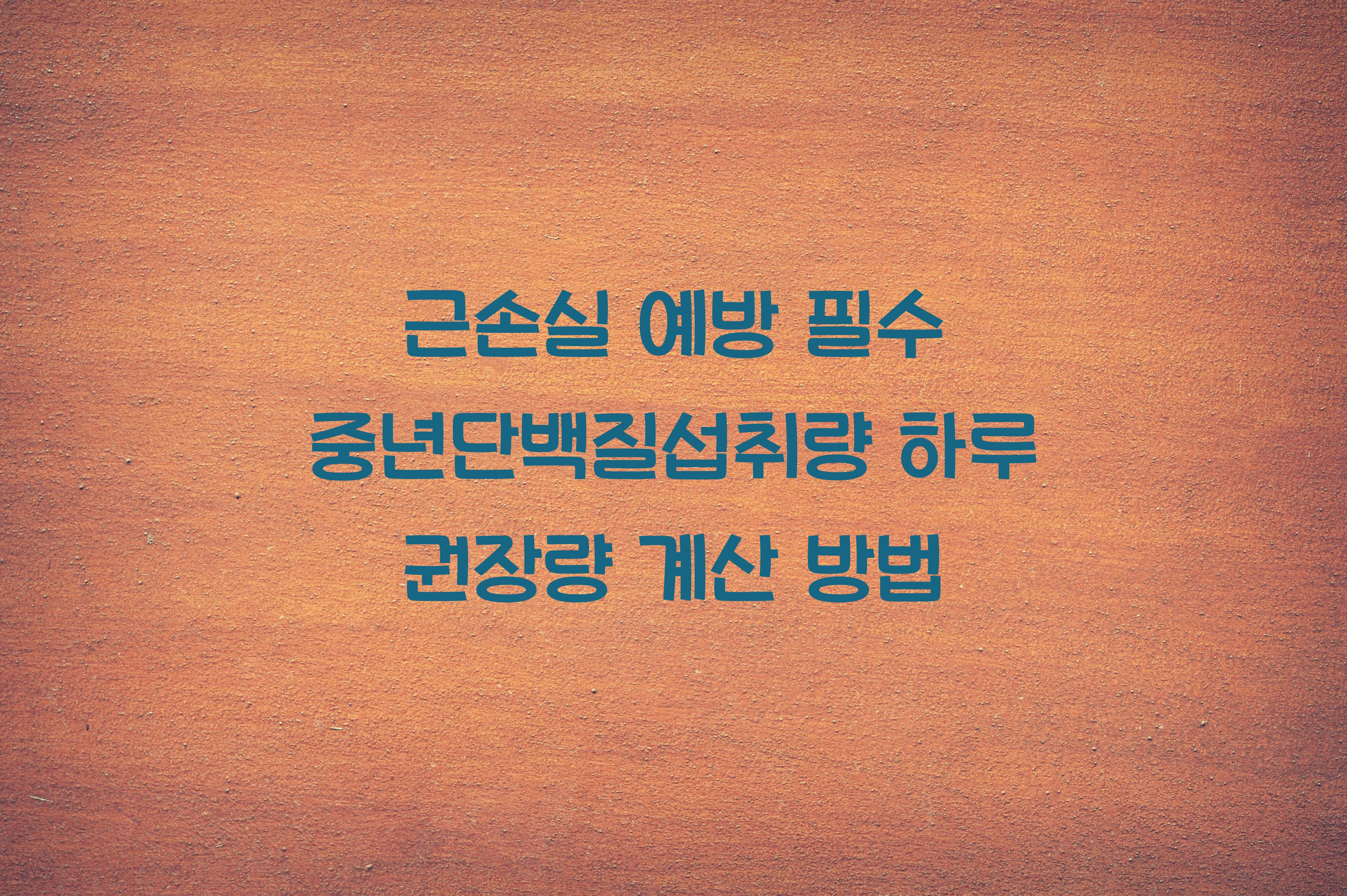 중년단백질섭취량