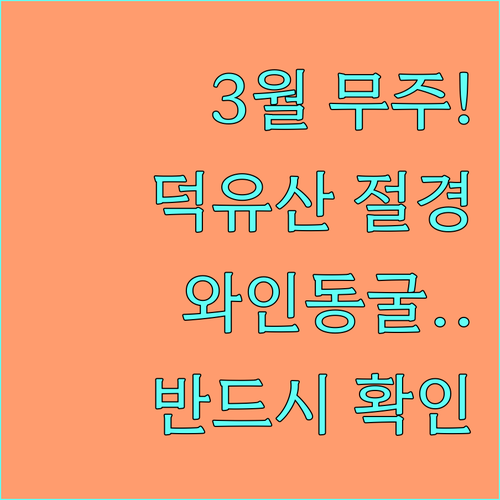 3월 무주 여행지 추천 덕유산 향적봉..