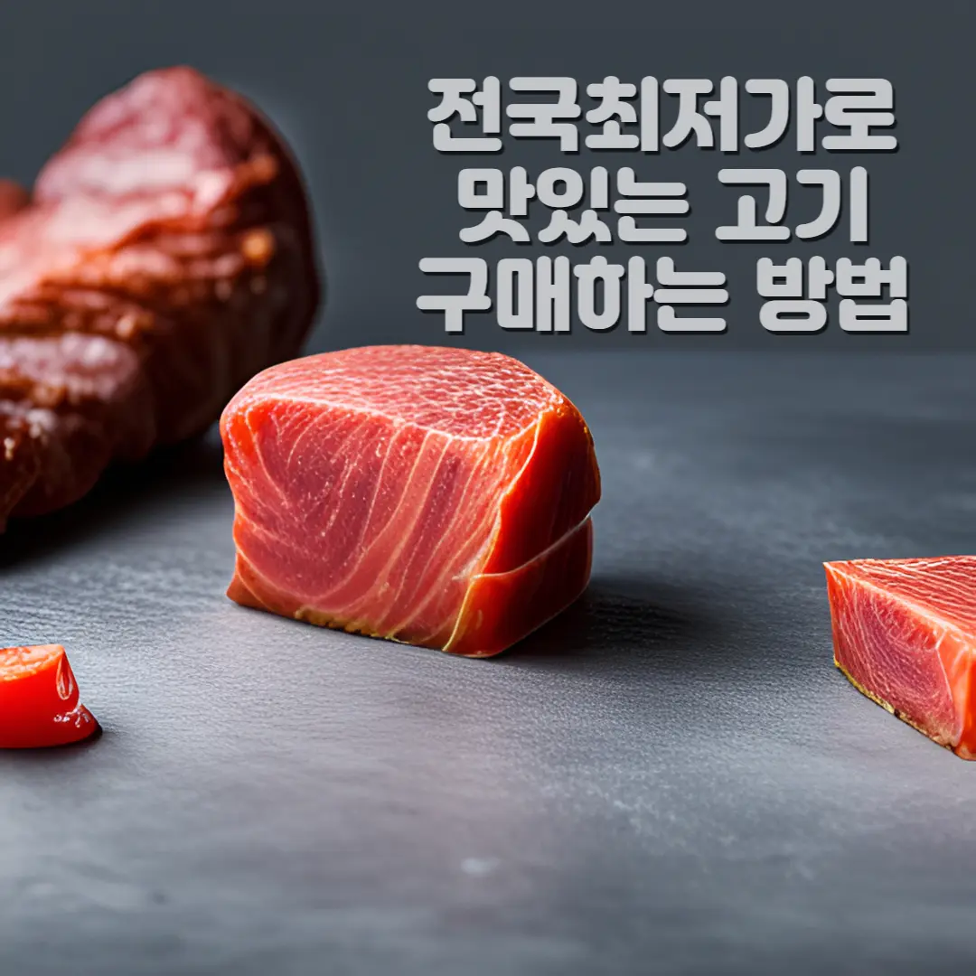 전국최저가로 맛있느 고기구매하는 방법