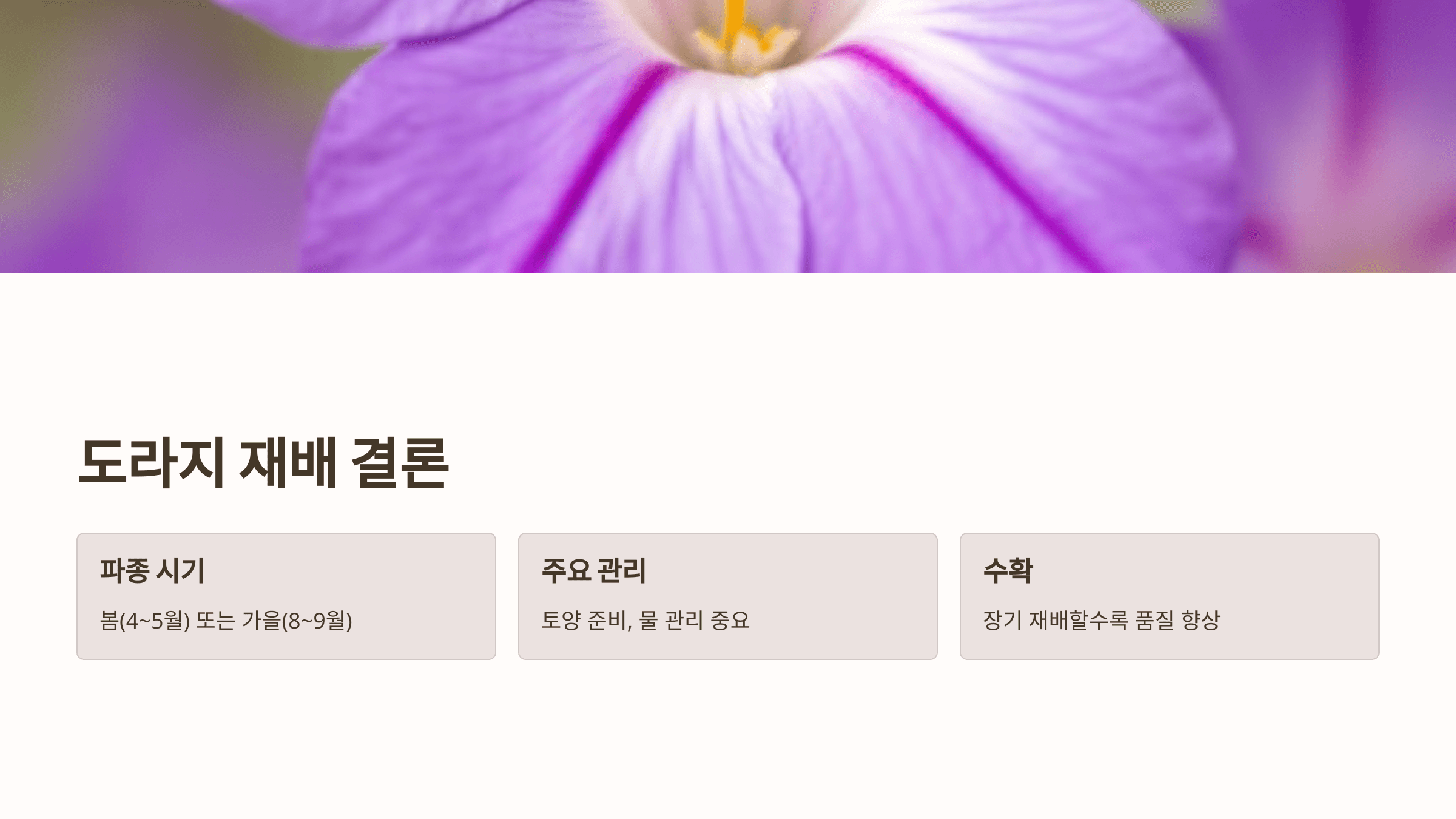 도라지 사진입니다.