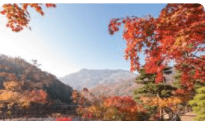 화담숲 예약하기