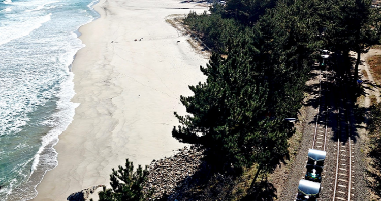 삼척 레일바이크