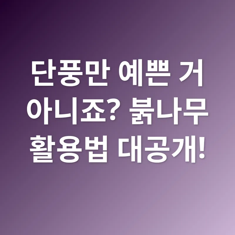 붉나무_1