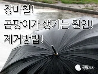 우산 곰팡이 건조 방법과 보관 팁 방습제 활용_17