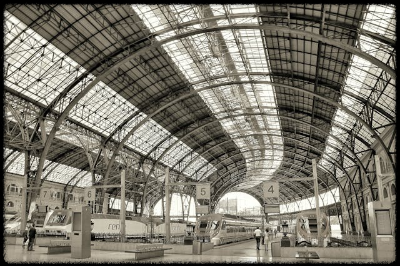 스페인 반도 전쟁의 무명 용사들&amp;#44; 잊혀진 희생의 기록