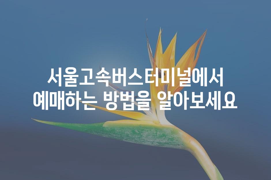 샘플 (45)
