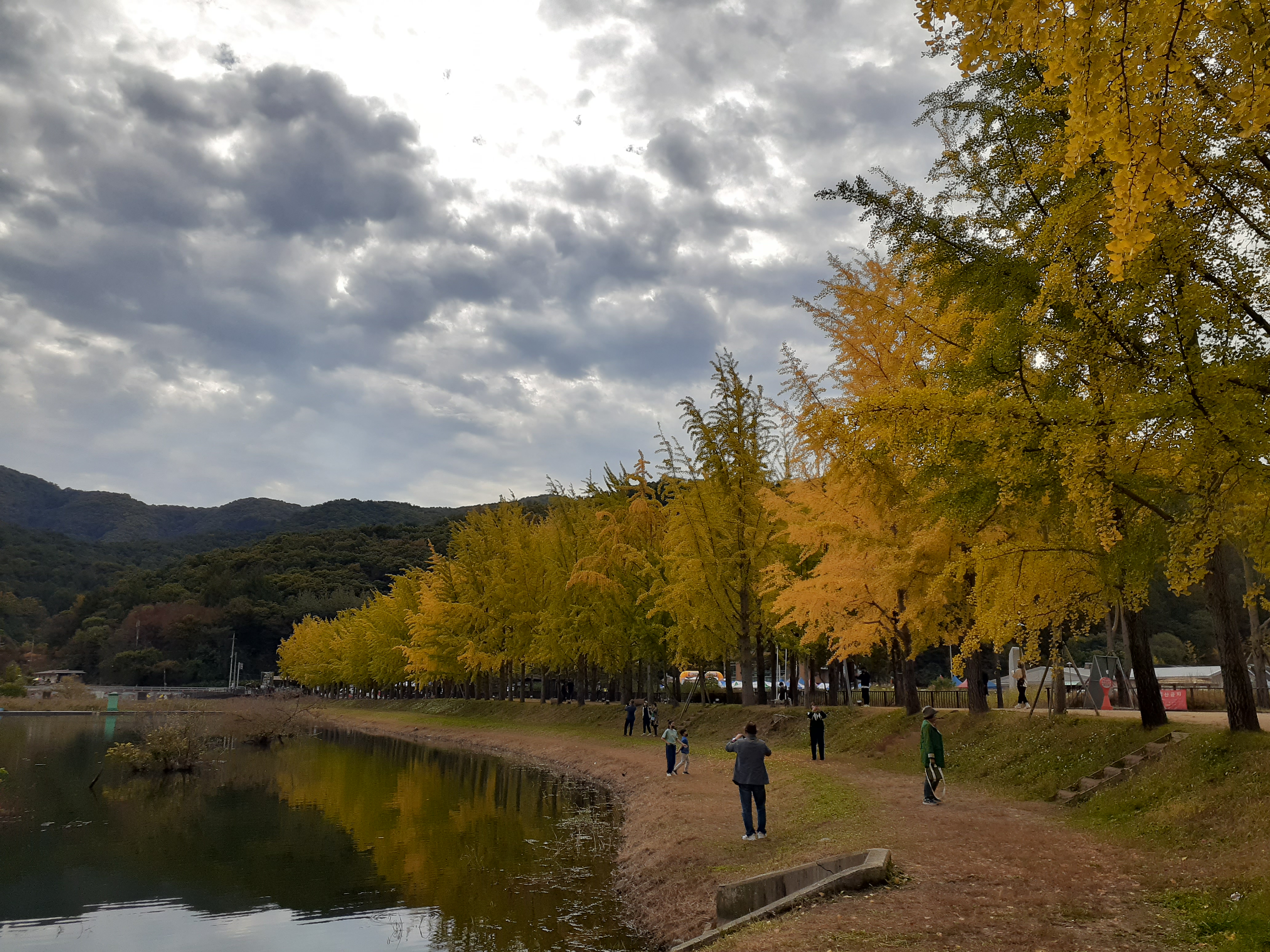 문광저수지단풍