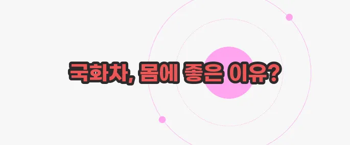 국화차 효능 한번 체크해보죠