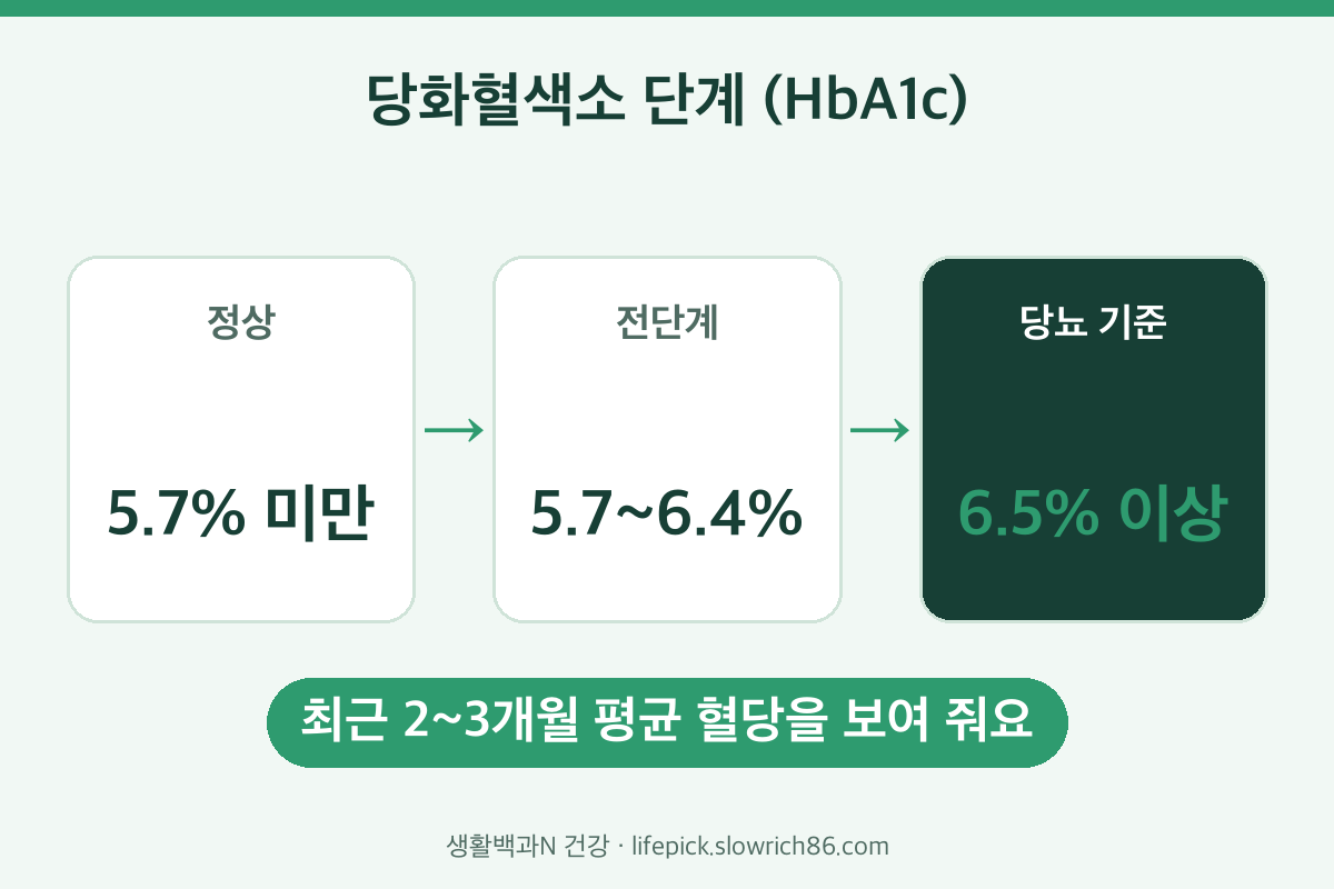 당화혈색소 정상치부터 당뇨병 진단 기준까지 단계