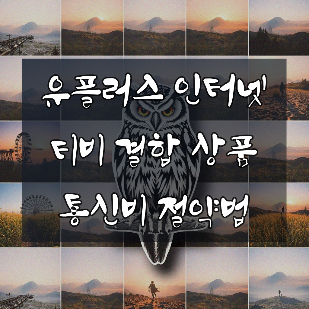엘지 유플러스 인터넷 티비 할인 카드, 뭐가 좋을까?