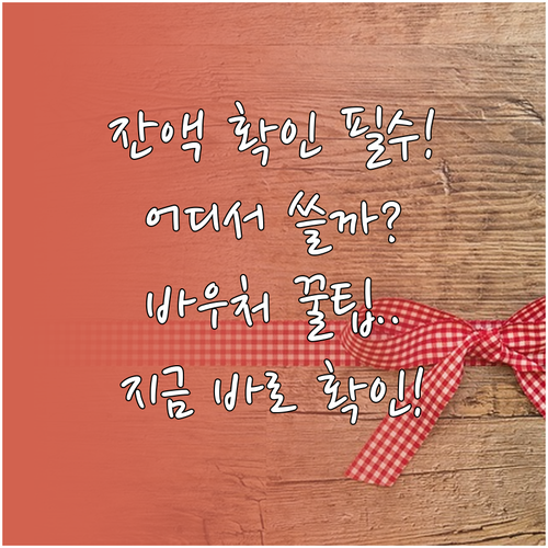 소상공인 경영안정 바우처 잔액 조회 ..
