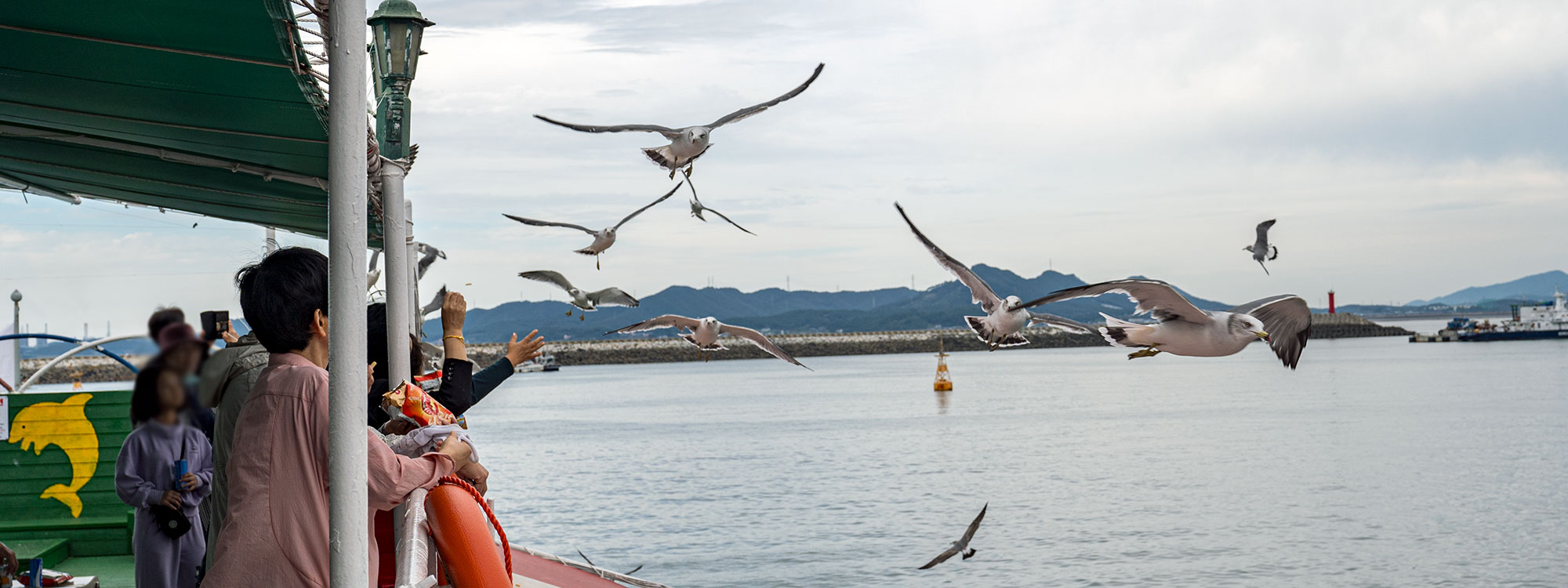 보령 가볼만한곳 - 대천항유람선