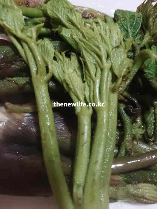 두릅 효능 조리법 데치기