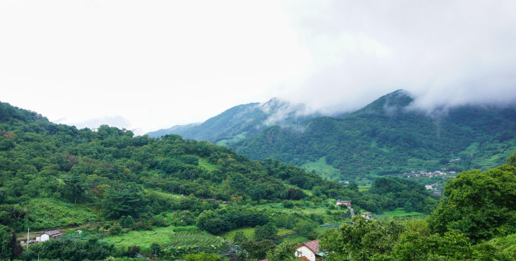힐링 여행지 추천 관련 사진
