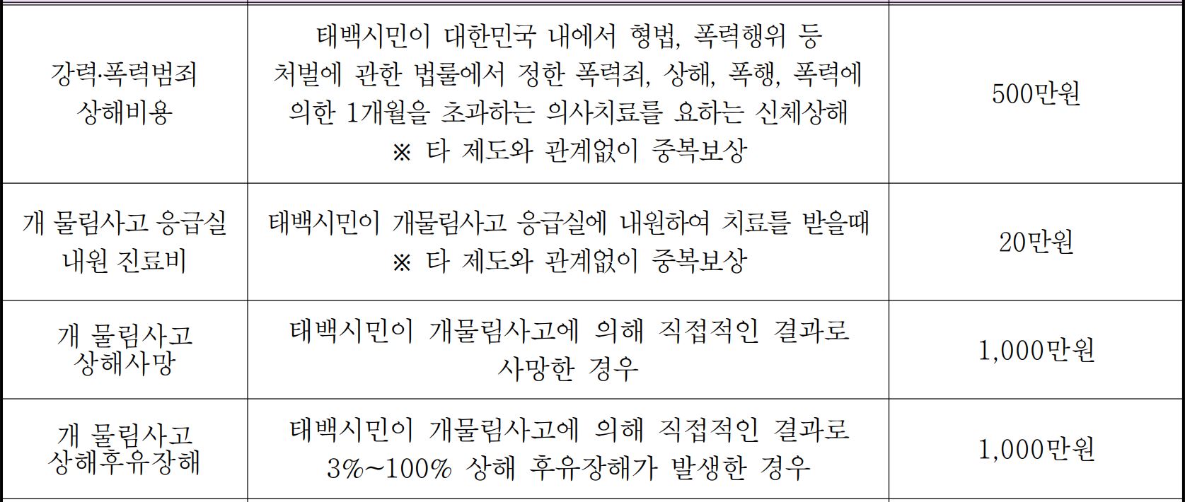 태백시 시민안전보험