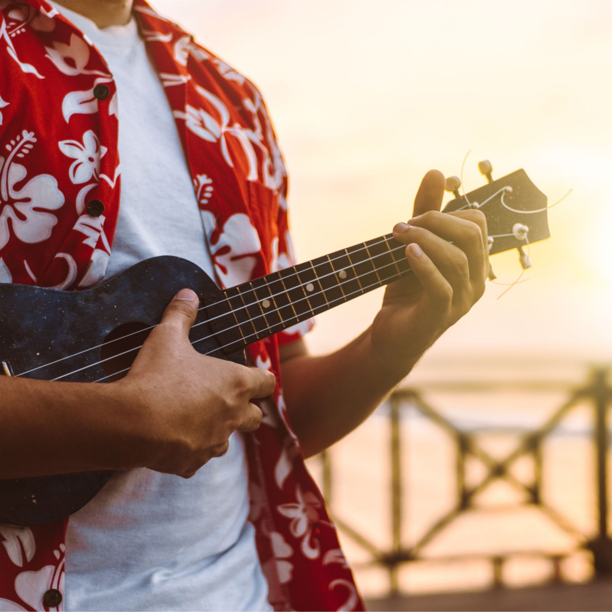 우쿨렐레 이미지