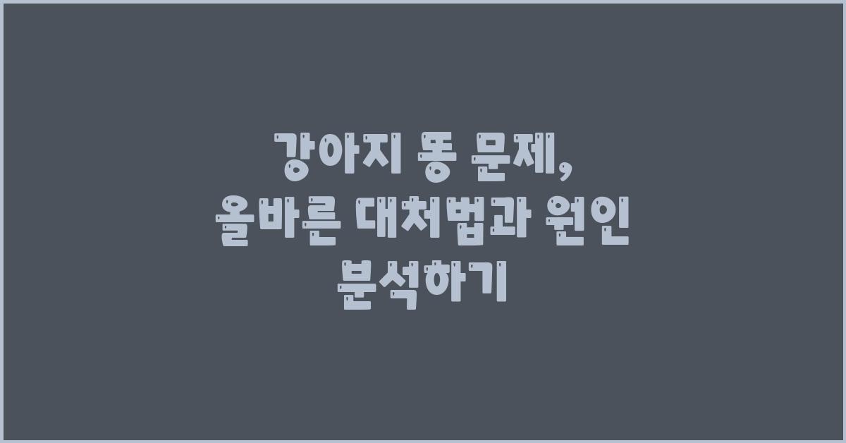 강아지 똥 문제