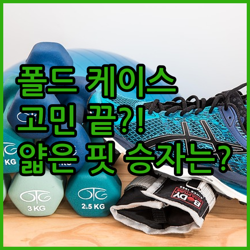 폴드 케이스 고민 끝! 신지모루 vs..