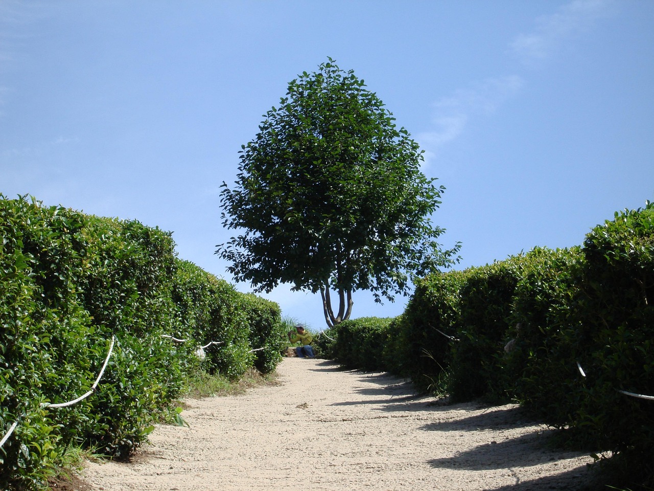 국내 테마별 여행지 추천 (힐링&amp;#44; 예술&amp;#44; 자연 루트) 관련사진