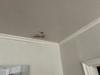 세입자가 집을 비워주지 않을 때 해결 방법_25