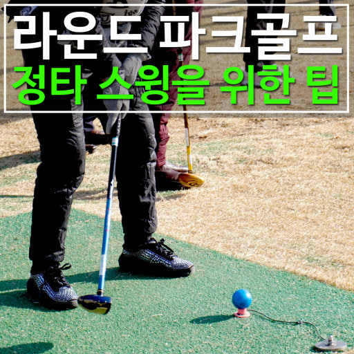 파크골프 지도자자격증 실기 과목