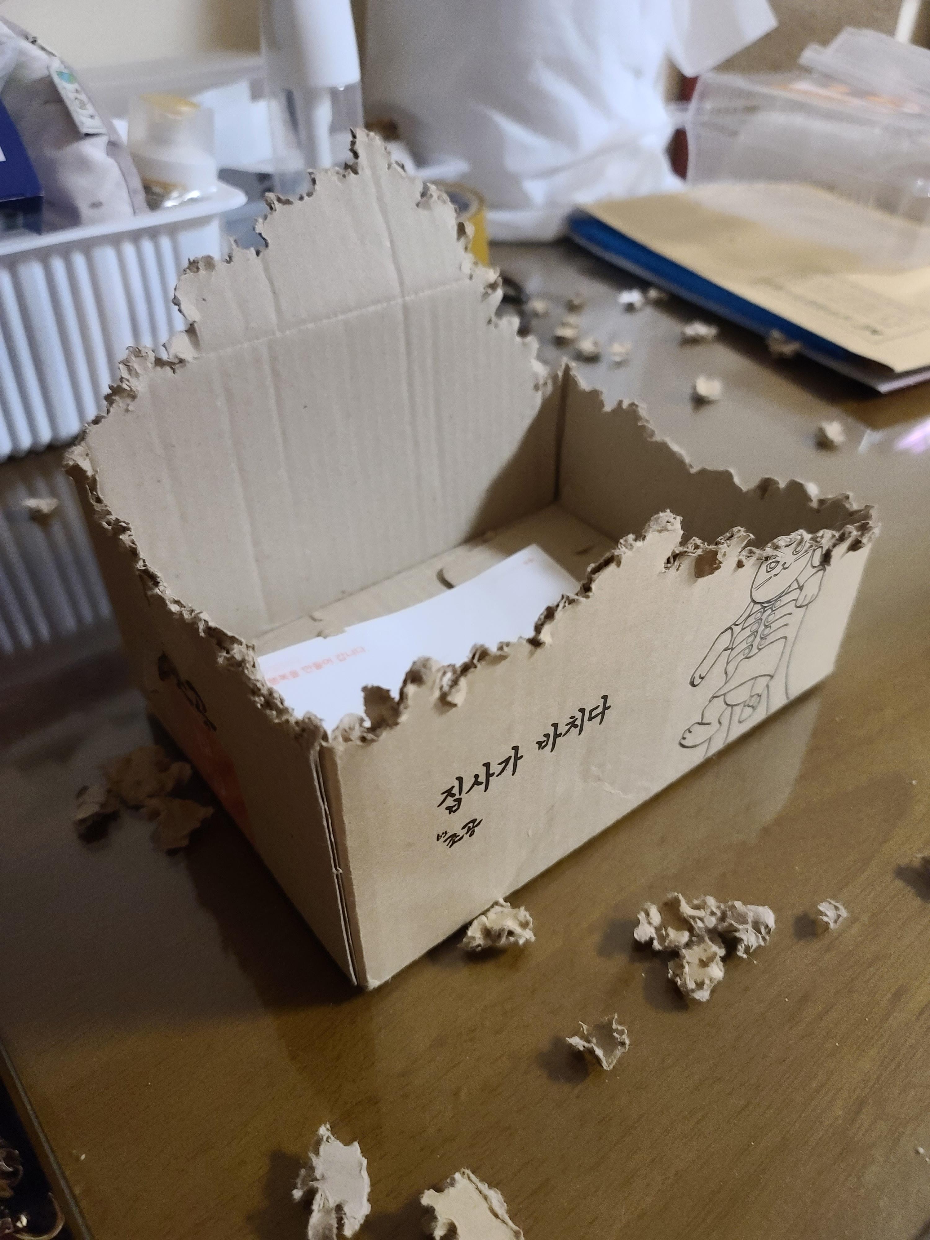 며칠전 건이가 작업하던 박스의 현재모습. 고양이 박스뜯기.