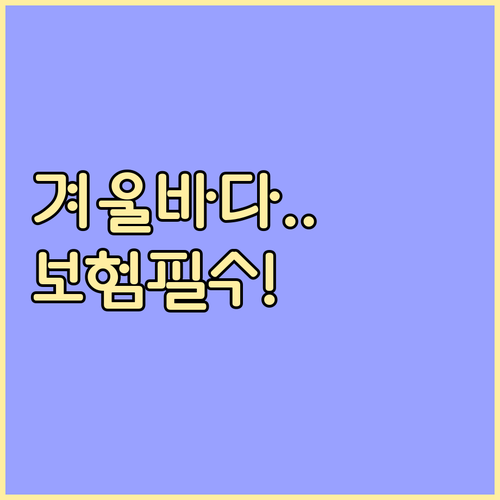 겨울 해양 레저 필수 안전수칙과 보험..