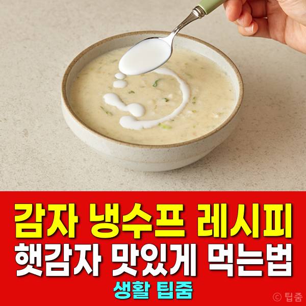감자 냉수프 레시피 햇감자 맛있게 먹는법 감자요리 추천