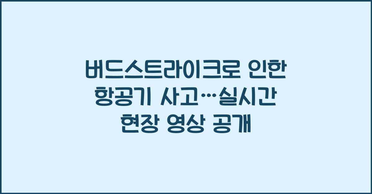 버드스트라이크로 인한 항공기 사고