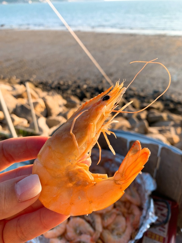 기다린 맛 제철 새우 납시오 오션뷰 바다 보며 먹는 새우라면, 왕새우 소금구이 인천 강화도 맛집 추천 생방송투데이 리얼맛집 오늘방송 김피디가 떴다
