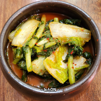 물김치 맛있게 담그는법
