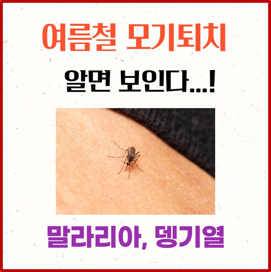 모기퇴치 알면 보인다