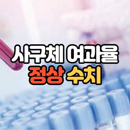 사구체 여과율 수치