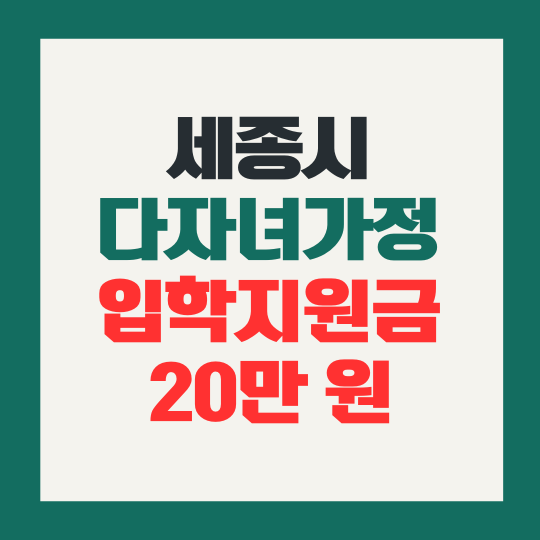 세종시 다자녀 가정 입학지원금 20만 원 신청 방법 대상 지급 방식
