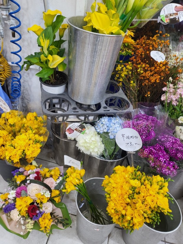 생생정보 : 연 매출 8억! 성공의 꽃을 피우다 - 백송이 전문점