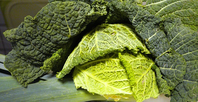 이마트 절임배추 사전예약