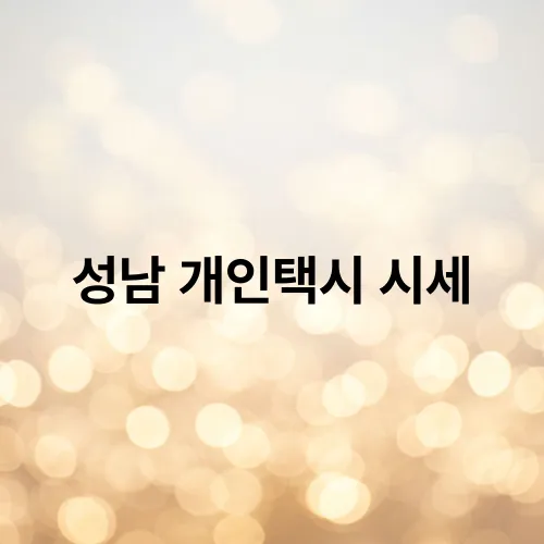 성남 개인택시 시세