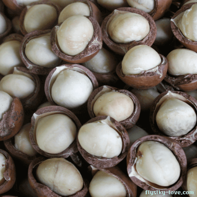 껍질 제거한 마카다미아