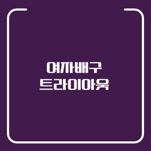 여자배구 트라이아웃