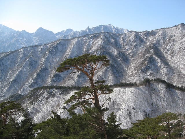 강원도 가볼만한 산