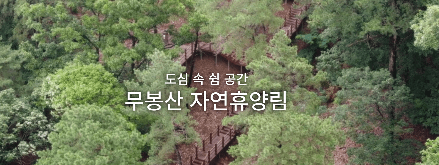 자연휴양림 숲나들e 예약방법, 내가 추천하는 자연휴양림 Best 3