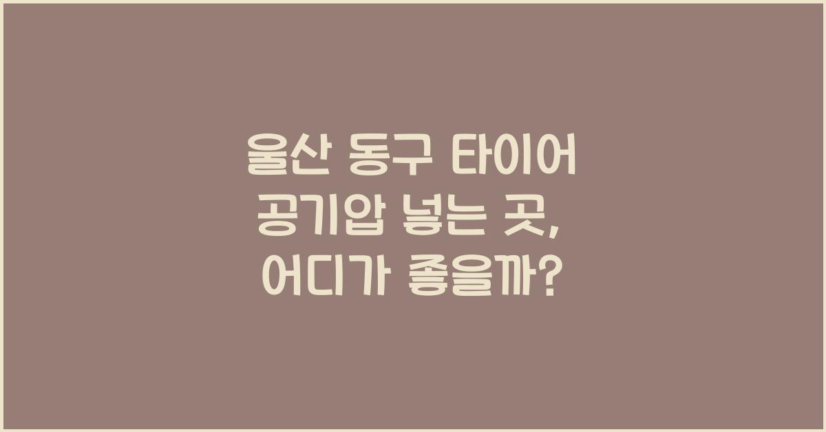 울산 동구 타이어 공기압 넣는 곳