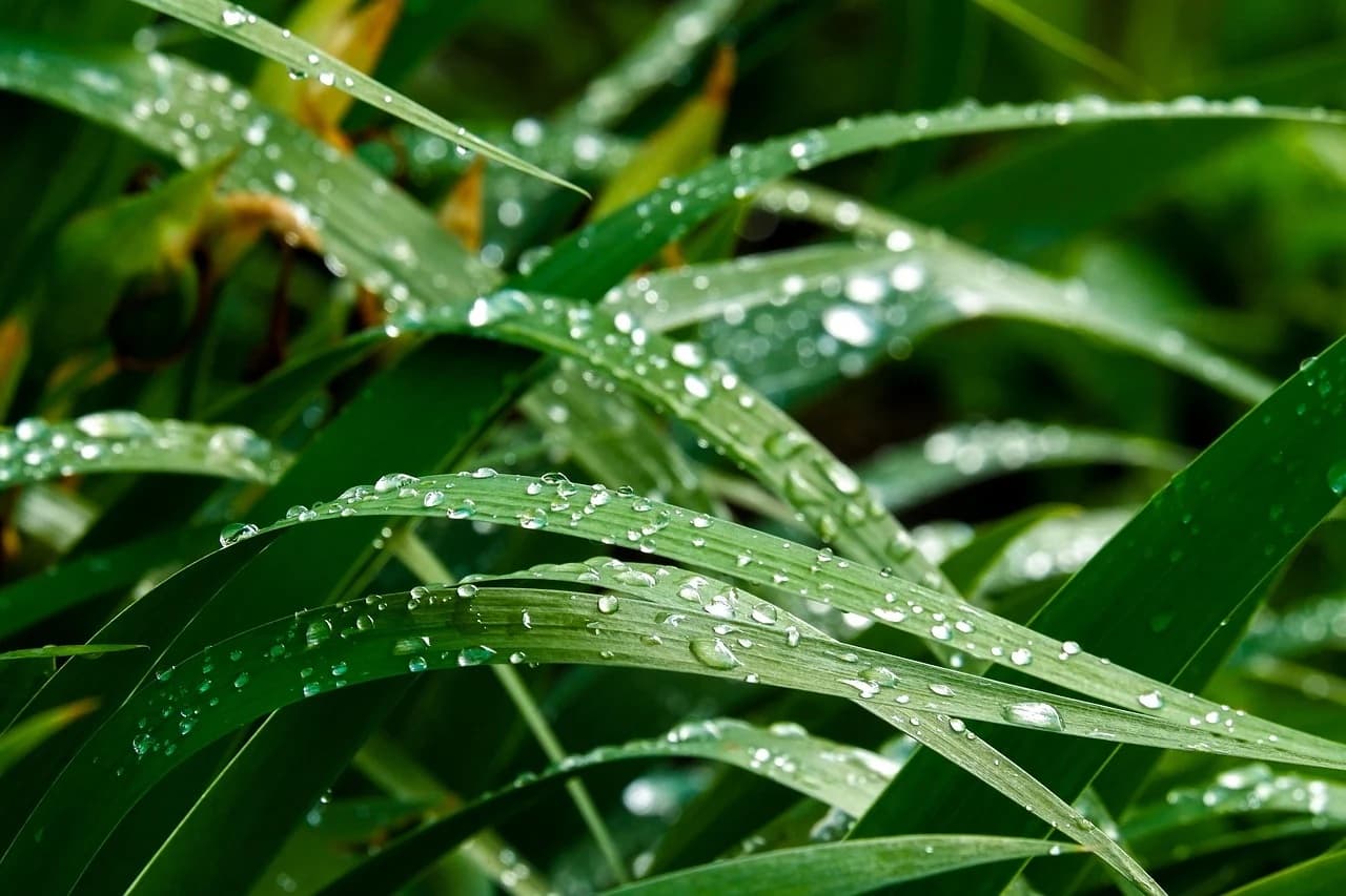 디지털 자산을 가진다는 건 결국 ‘인정받고 싶다’는 말