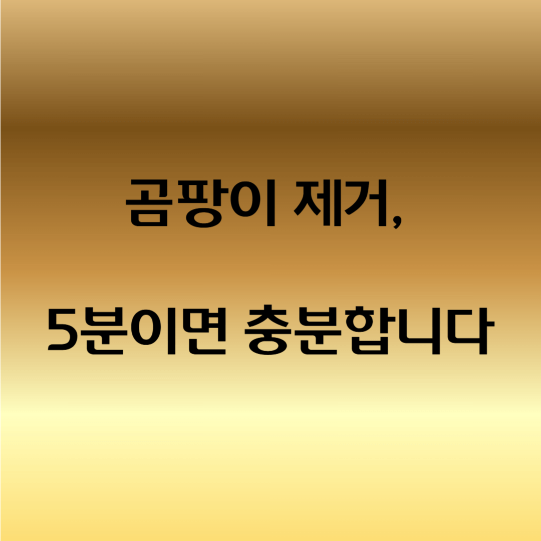 제습기 곰팡이 청소법