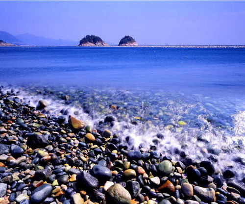 사진=네이버플레이스 업체 등록 사진