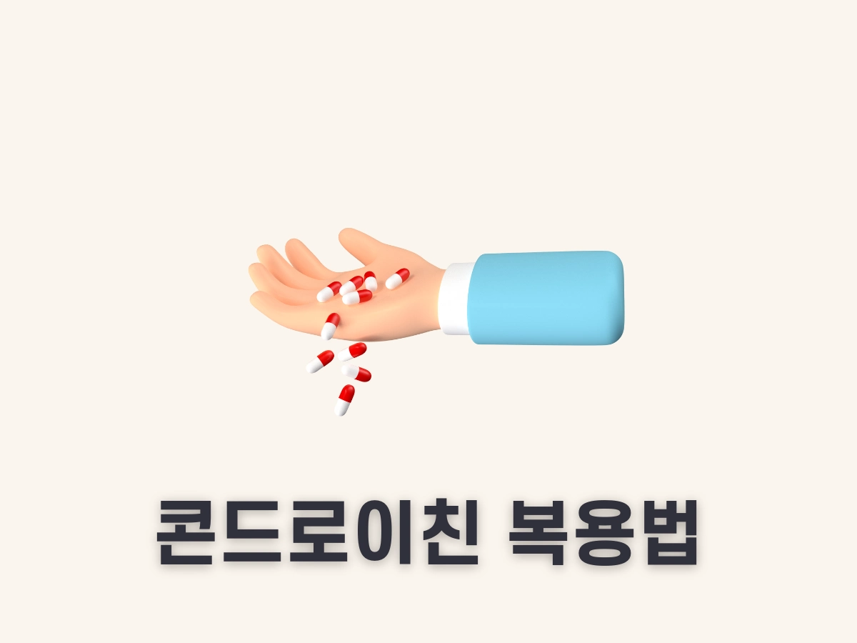 콘드로이친 1200mg 복용법