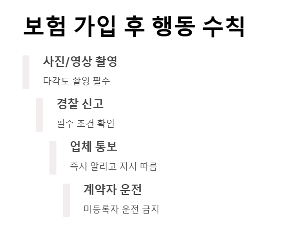 여행 렌트카 보험 가입 꿀팁 총정리