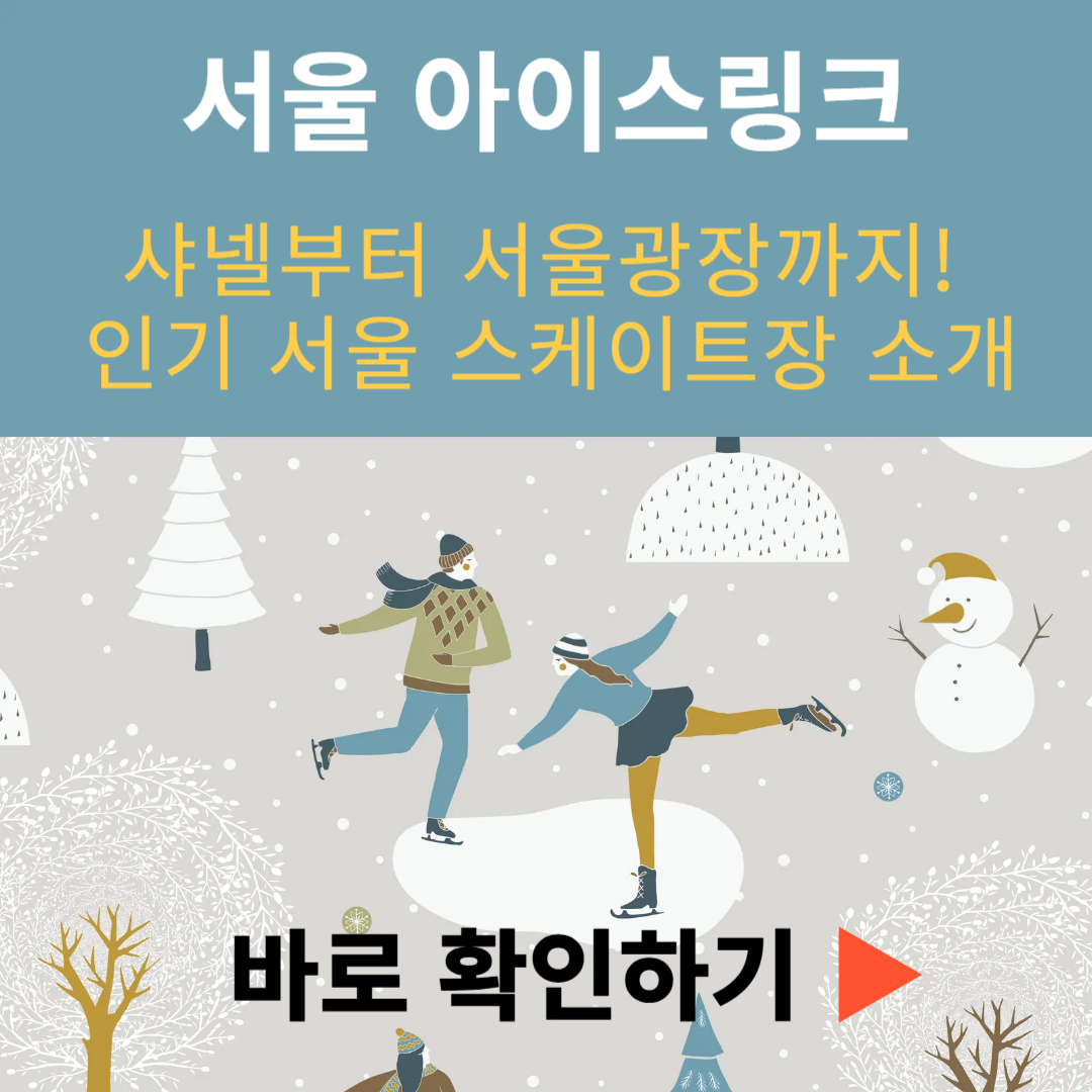 서울 아이스링크 ❘ 샤넬부터 서울광장까지 인기 서울 스케이트장 소개