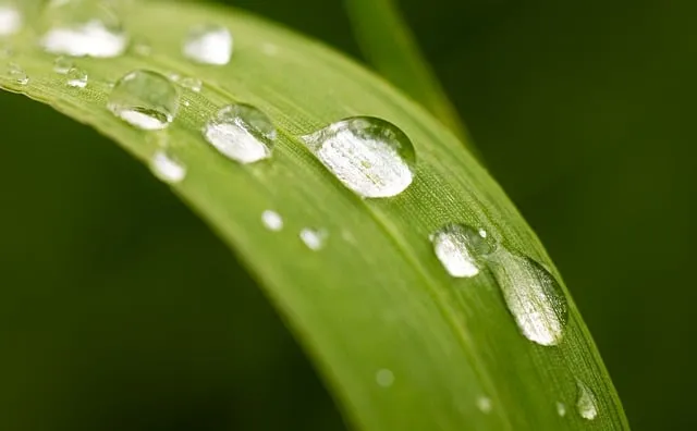 제습기 선물 제습량 연속배수 소비전력 장마철 실사용 후기 비교_5